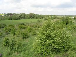 krajobraz